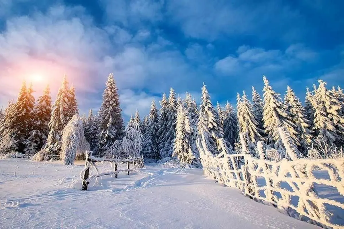 تفال به حافظ سه شنبه ۱۷ بهمن ۱۴۰۲؛ زلفت هزار دل به یکی تار مو ببست...