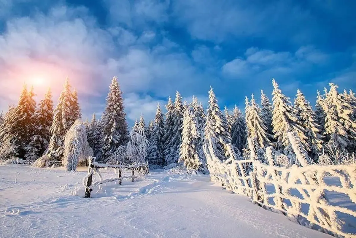 تفال به حافظ سه شنبه ۱۷ بهمن ۱۴۰۲؛ زلفت هزار دل به یکی تار مو ببست...