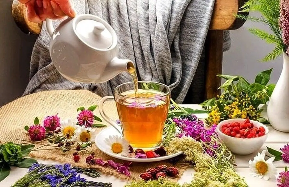 طرفداران چای بخوانند/ تاخیر در روند پیری بیولوژیکی!