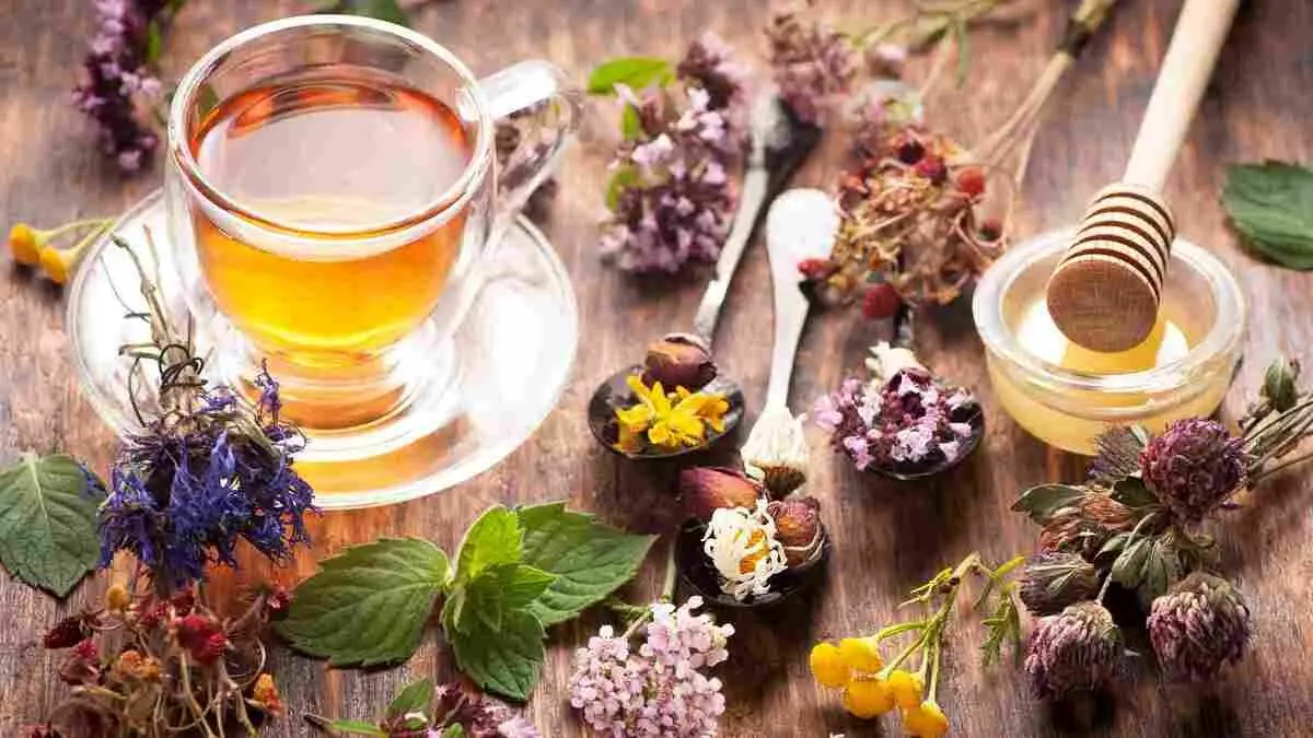 ۱۲ چای و دمنوش گیاهی برای کبد چرب که معجزه می‌کنند!