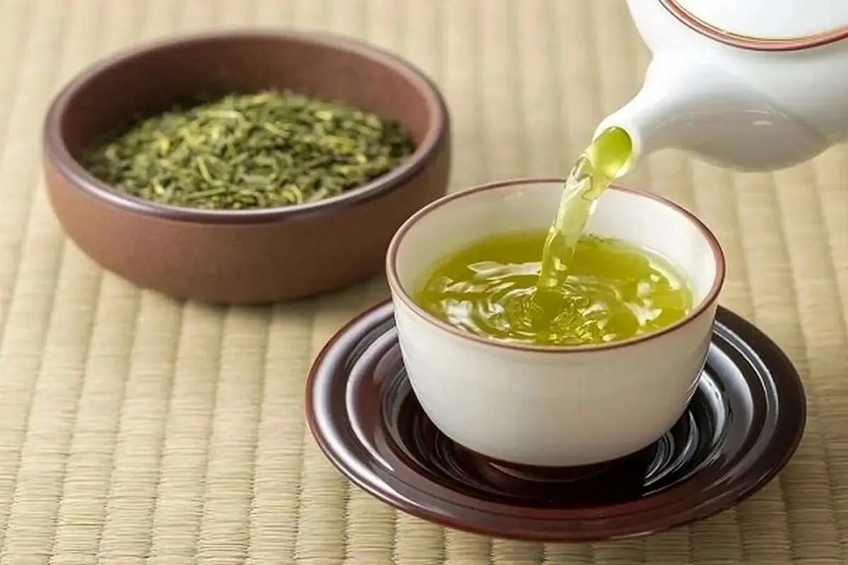 مؤثرترین و بهترین گیاهان دارویی برای تقویت حافظه و تمرکز