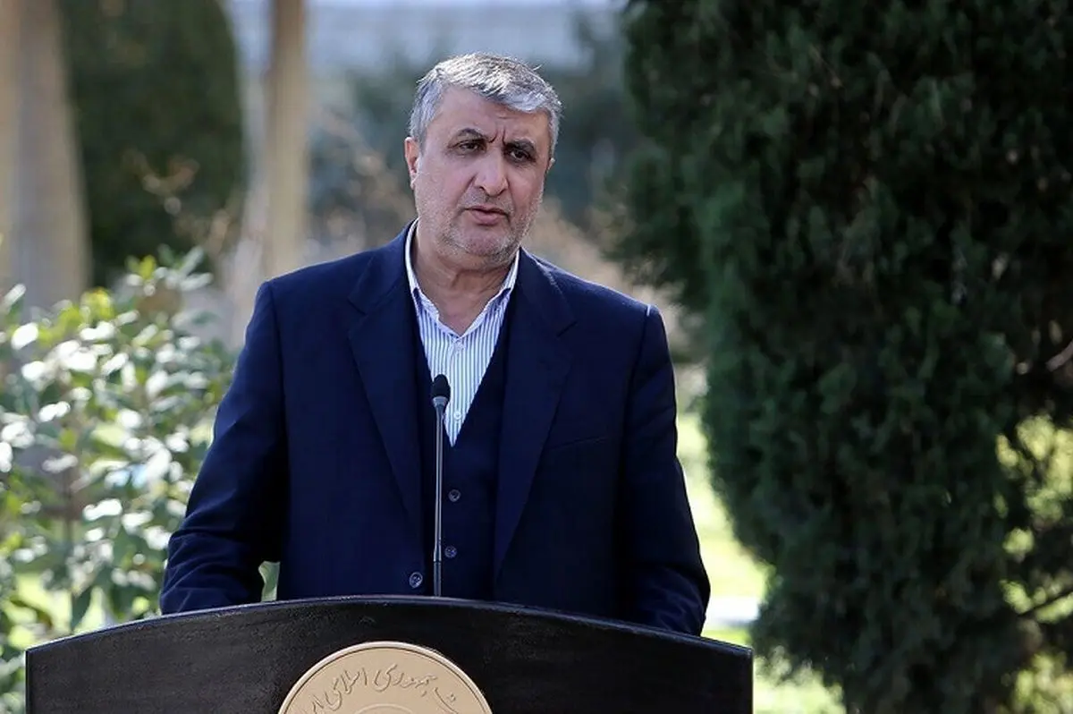 رئیس سازمان انرژی اتمی: آژانس اتمی برای ایران فقط مزاحمت دارد