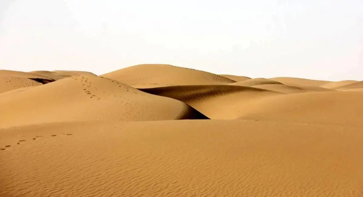 ۱۰ گردشگر مفقودی در کویر طبس پیدا شدند