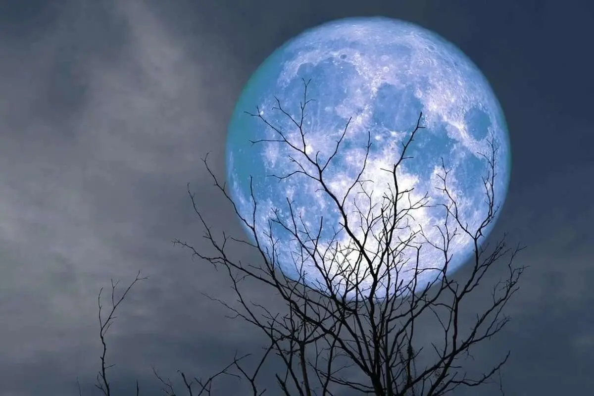 تفال به حافظ دوشنبه ۲۳ بهمن ۱۴۰۲؛ ای روی ماه منظر تو نوبهار حسن...