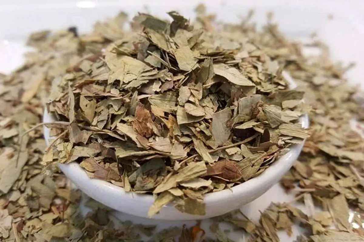 خواص بی‌نظیر این گیاه برای درمان یبوست