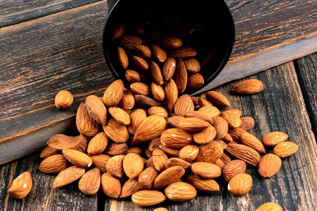 معرفی خواص انواع بادام و فواید آنها برای بدن