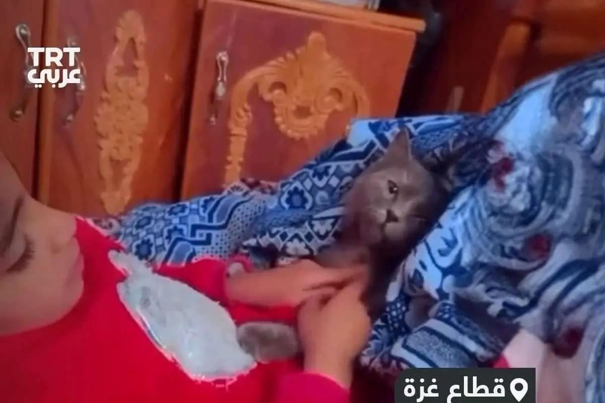 (ویدئو) دختربچه فلسطینی به گربه‌اش: اگر مُردم من را نخوری!