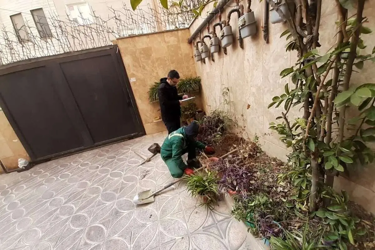 درخت رایگان خواستید با این شماره تماس بگیرید