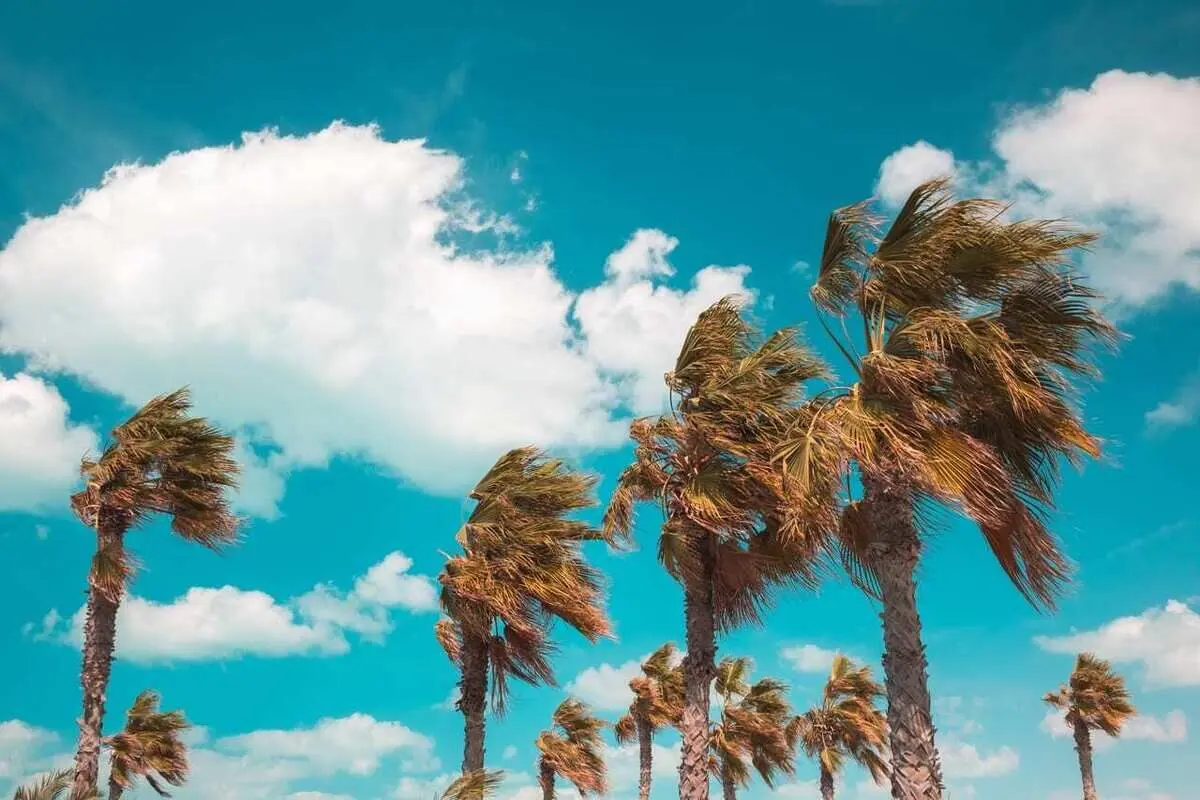 تفال به حافظ پنجشنبه ۲۶ بهمن ۱۴۰۲؛ اگر چه باده فرح بخش و باد گل‌بیز است...