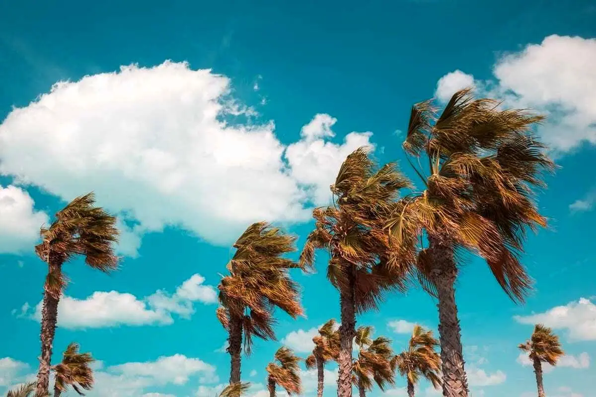 تفال به حافظ پنجشنبه ۲۶ بهمن ۱۴۰۲؛ اگر چه باده فرح بخش و باد گل‌بیز است...