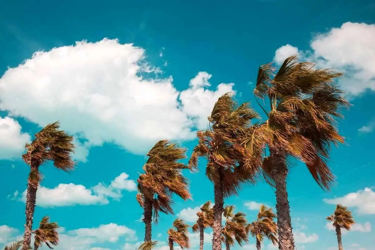 تفال به حافظ پنجشنبه ۲۶ بهمن ۱۴۰۲؛ اگر چه باده فرح بخش و باد گلبیز است...