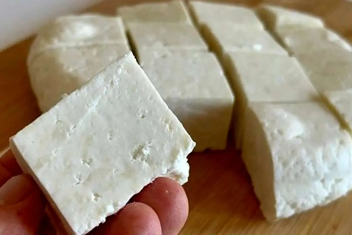 (ویدئو) طرز تهیه آسان و ارزان پنیر خوشمزه در خانه