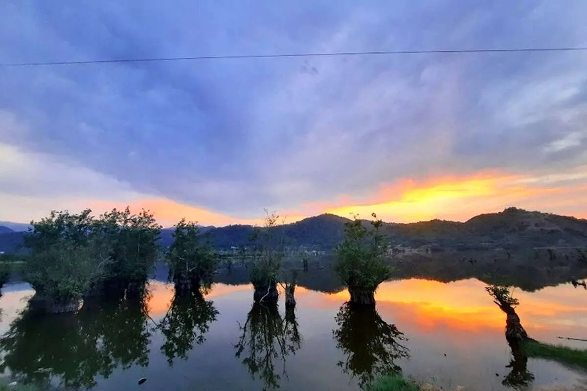 تفال به حافظ جمعه ۴ اسفند ۱۴۰۲؛ رونق عهد شباب است دگر بستان را...