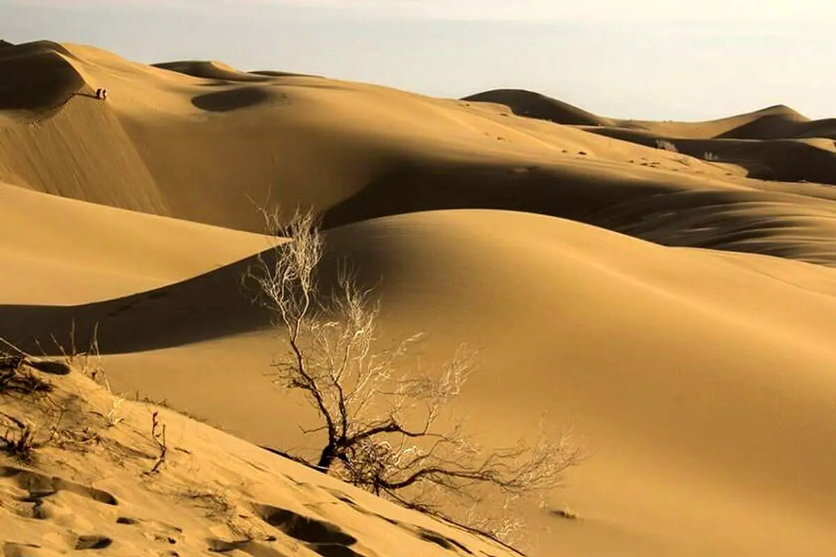 ۸ نفر در کویر دامغان گم شدند