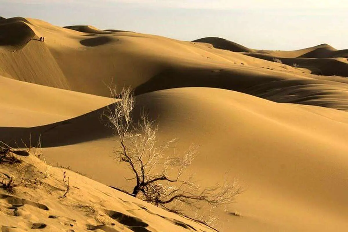 ۸ نفر در کویر دامغان گم شدند