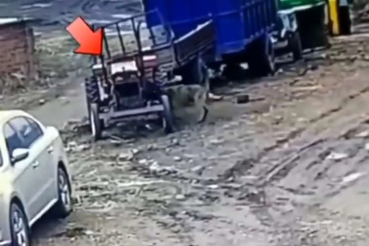 (ویدئو) یک سگ با روشن کردن تراکتور حادثهساز شد