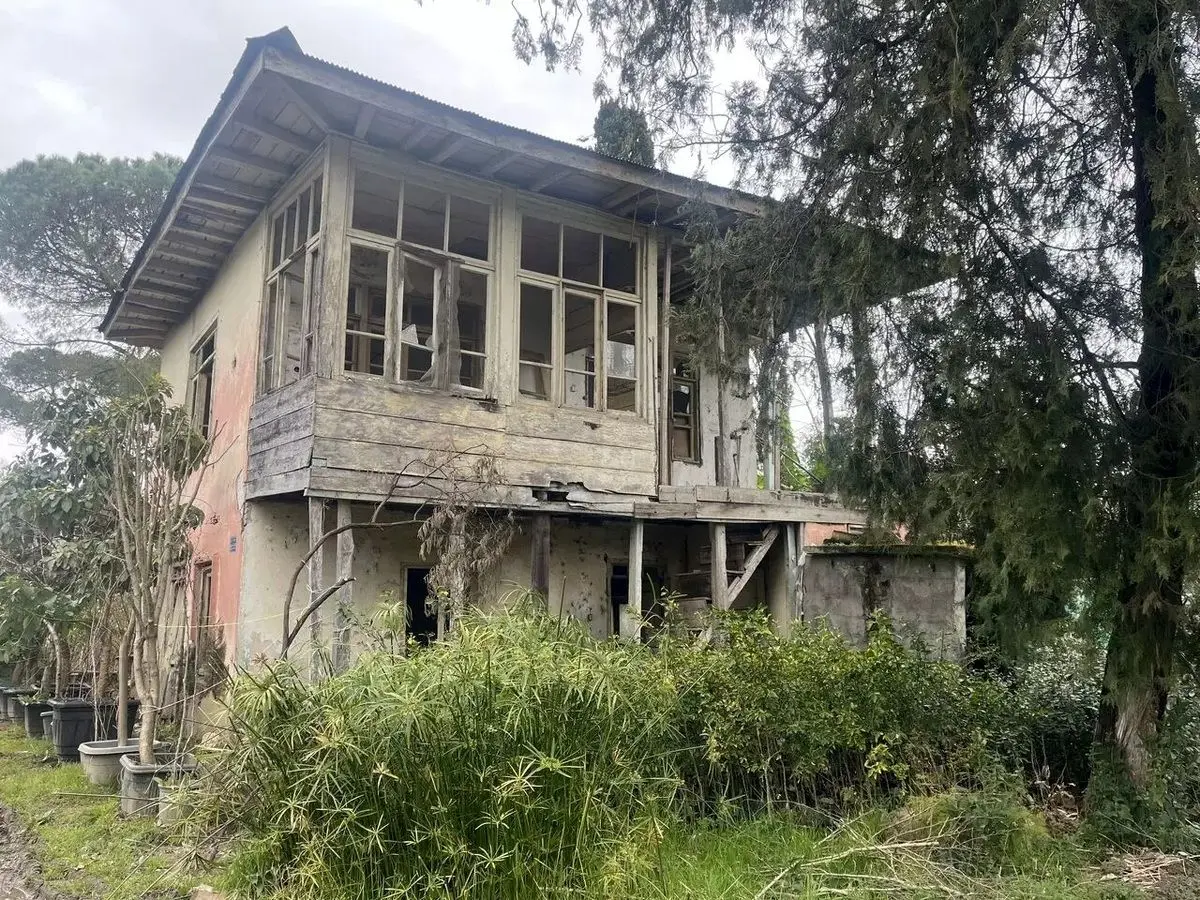 پرونده ثبت ملی باغ هشت هکتاری رامسر به کجا رسید؟