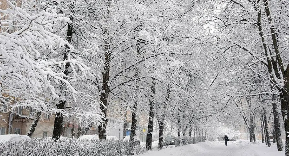 عکس دیدنی از ارتفاع برف در تجریش تهران