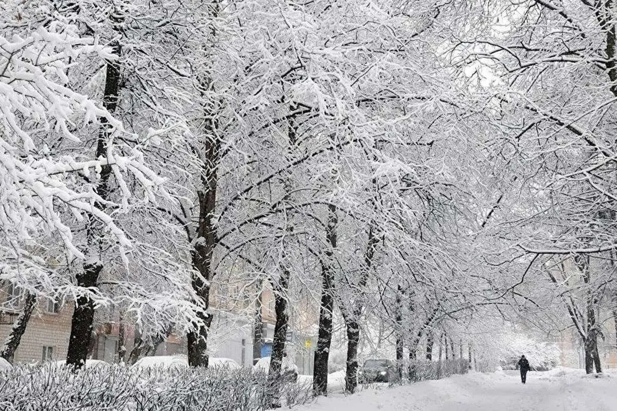 عکس دیدنی از ارتفاع برف در تجریش تهران