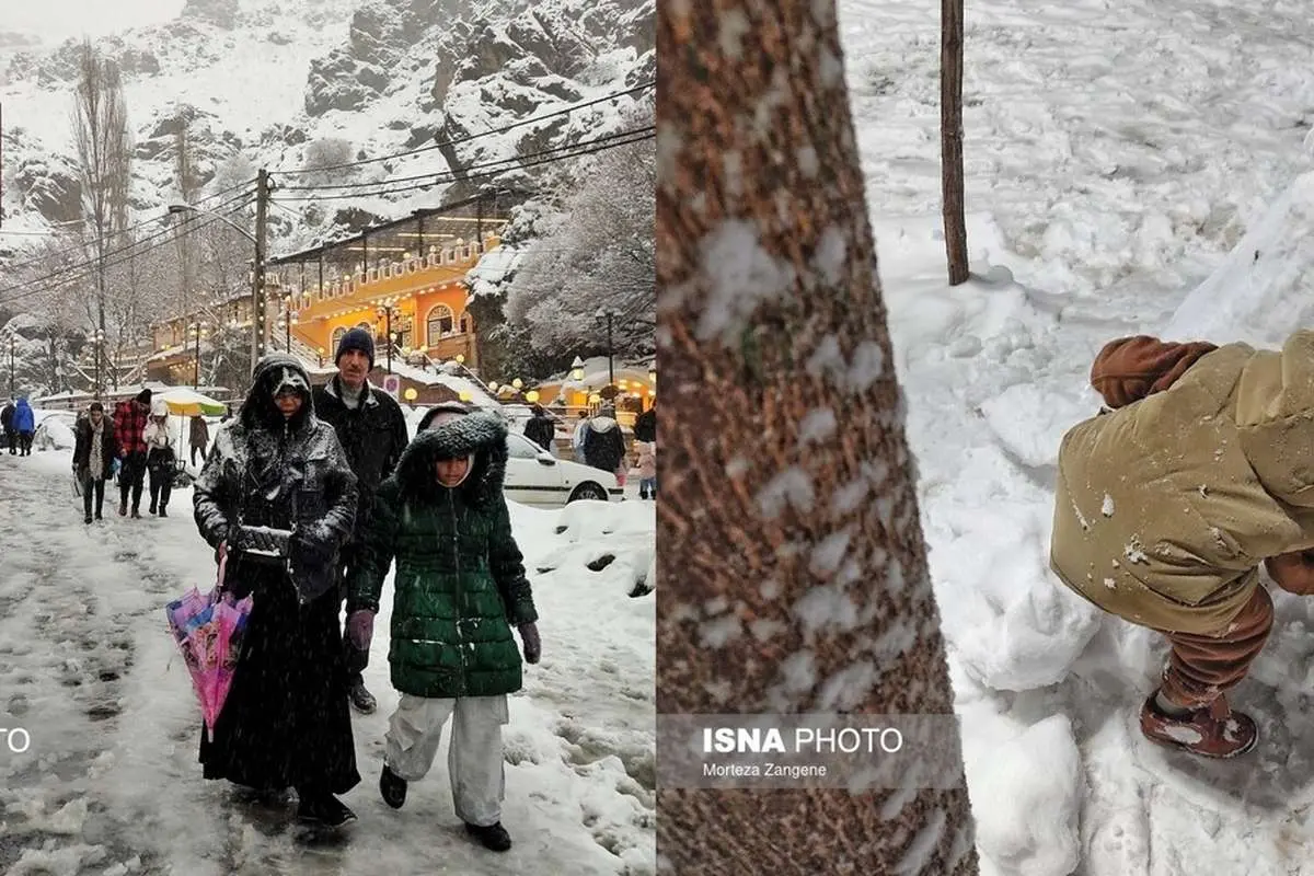 (تصاویر) برف در شمال تهران
