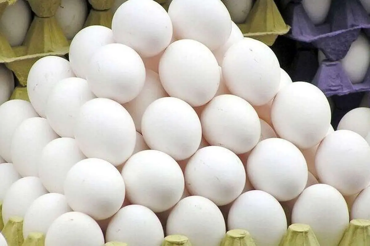 قیمت تخم مرغ در بازار امروز ۷ اسفند ۱۴۰۲