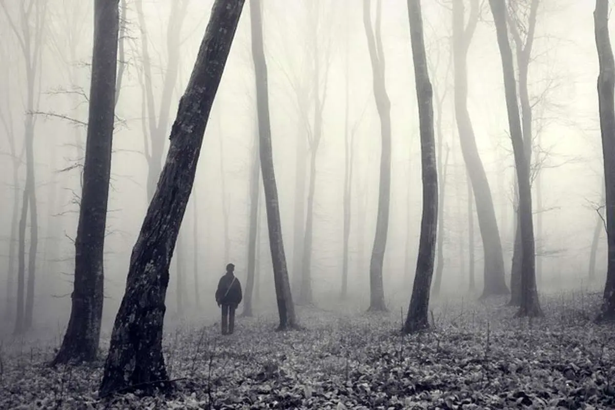 تفال به حافظ چهارشنبه ۱۶ اسفند ۱۴۰۲؛ مخمور جام عشقم ساقی بده شرابی....