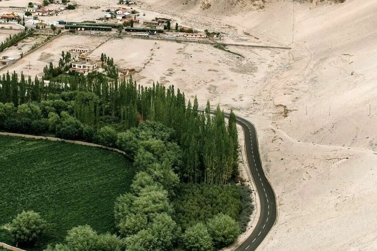 شورهزاری در چین تبدیل به گلستان شد