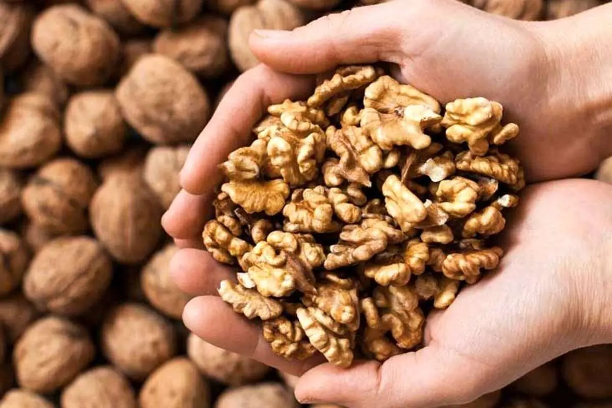 (ویدئو) روش تبدیل گردو پوست سنگی به پوست کاغذی