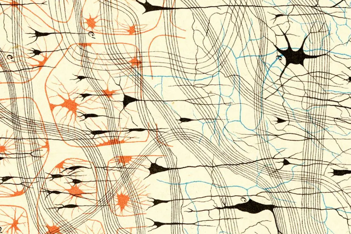 زیاده روی در واکنش و بیش از حد حساس بودن / اختلال در تنظیم سیستم عصبی چیست و چگونه می‌توان آن را برطرف کرد؟