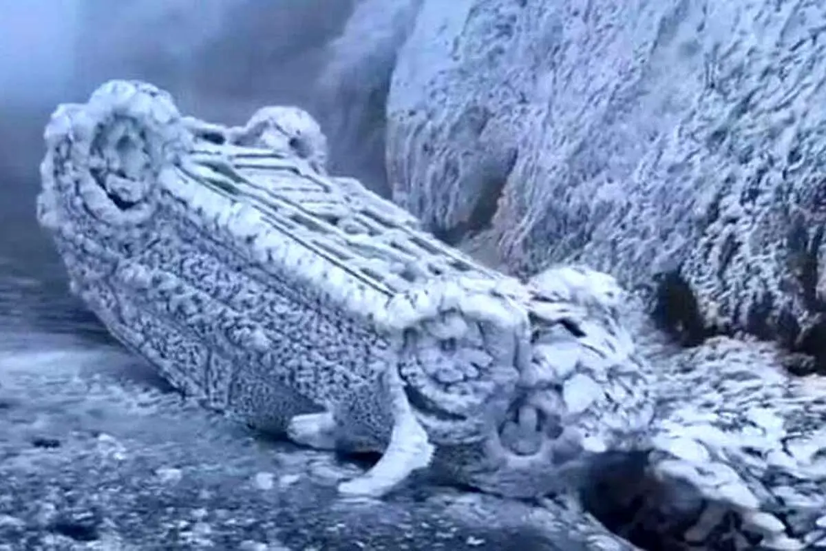 (ویدئو) سرزمین عجایب یخزده