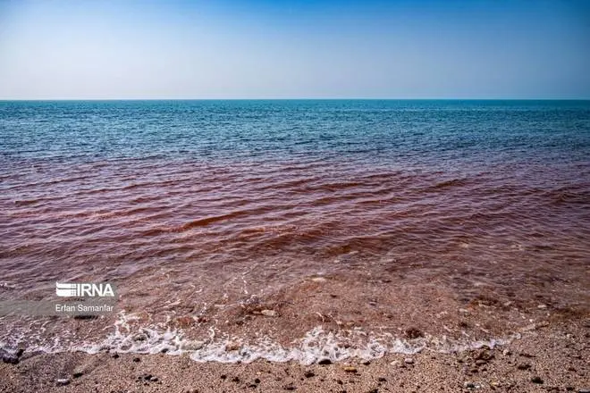 عکس دریای خلیج فارس در نقشه