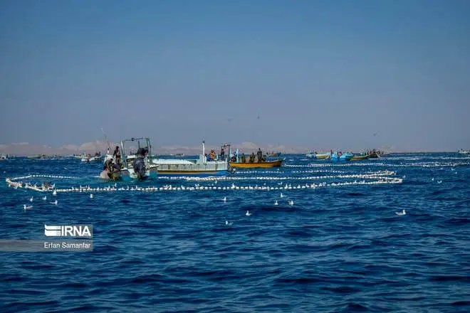 عکس دریای خلیج فارس در نقشه