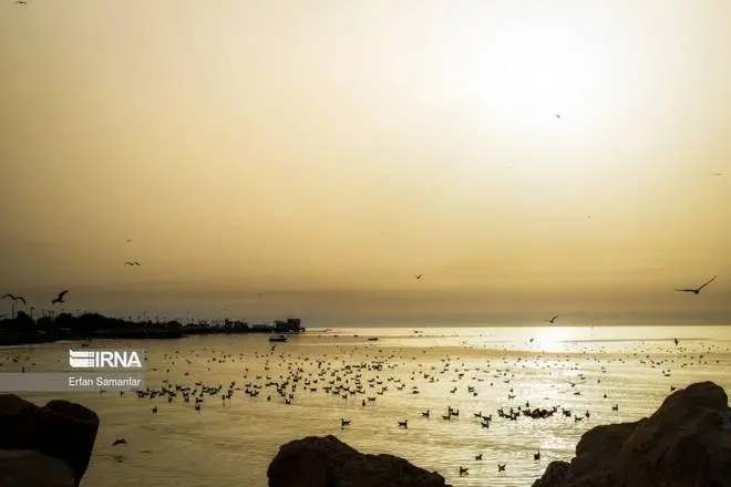 عکس دریای خلیج فارس در نقشه