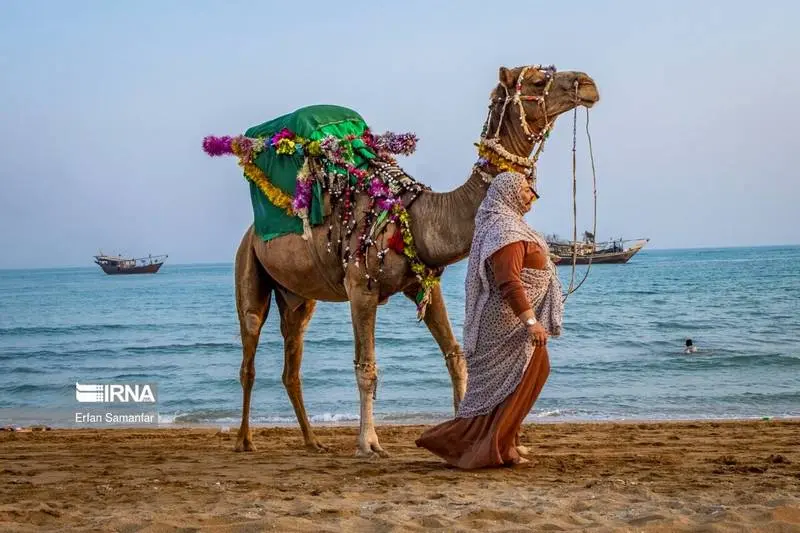 عکس دریای خلیج فارس در نقشه