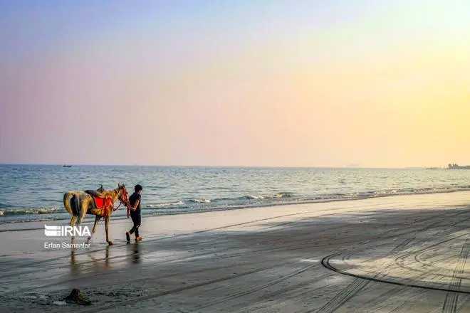 عکس دریای خلیج فارس در نقشه