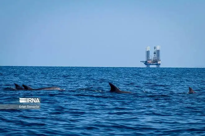 عکس دریای خلیج فارس در نقشه