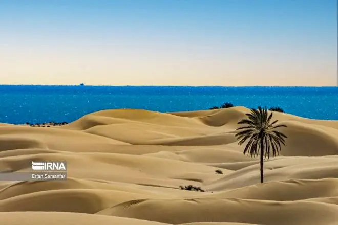 عکس دریای خلیج فارس در نقشه