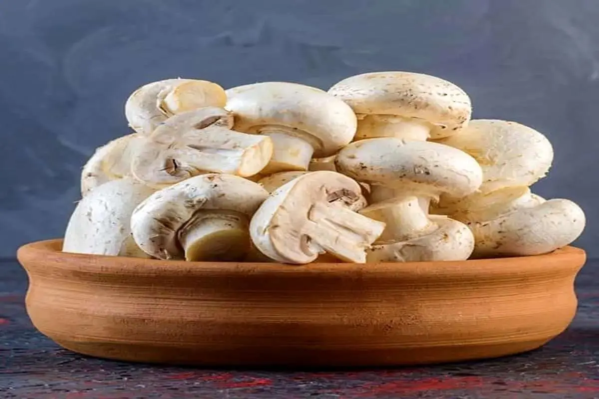 این سبزی جایگزین مناسب گوشت است که پروتئین بیشتر و خواص فراوانی برای بدن دارد
