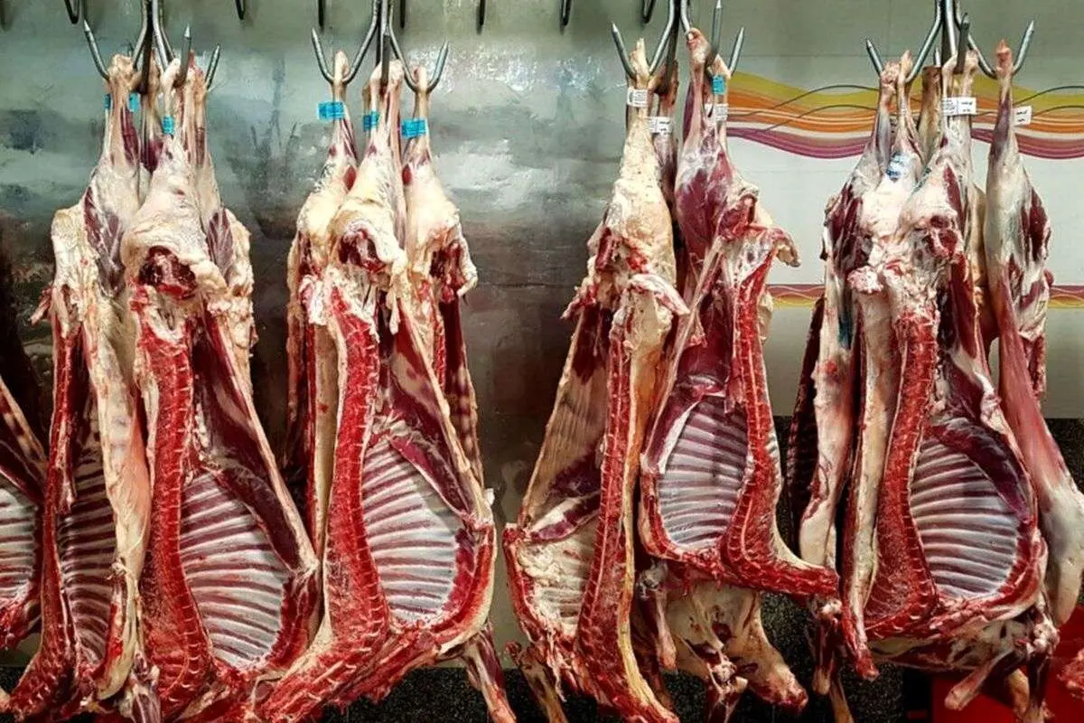 قیمت گوشت گوسفندی ۷۵۴ هزار تومان شد!