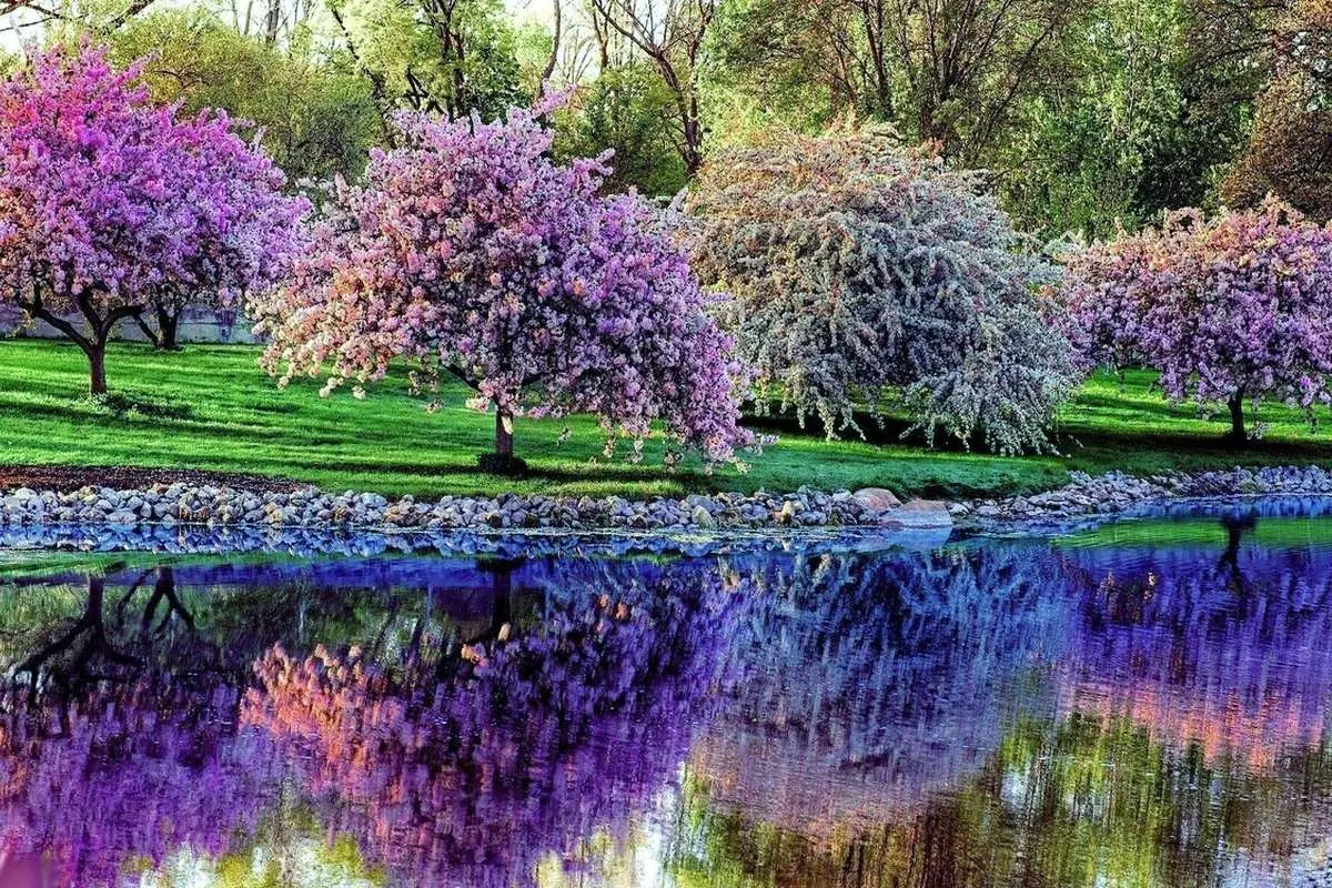 تفال به حافظ شنبه ۲۶ اسفند ۱۴۰۲؛ سر ارادت ما و آستان حضرت دوست....