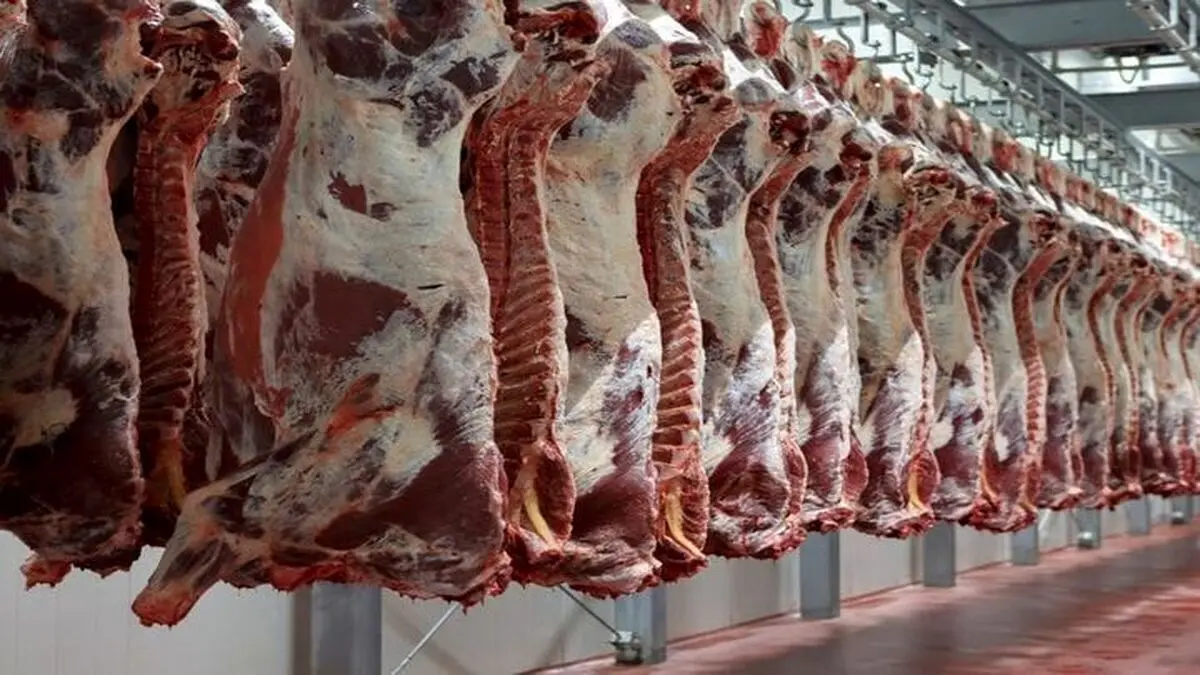 قیمت جدید دام زنده؛ جزییات تغییر قیمت گوشت و مرغ