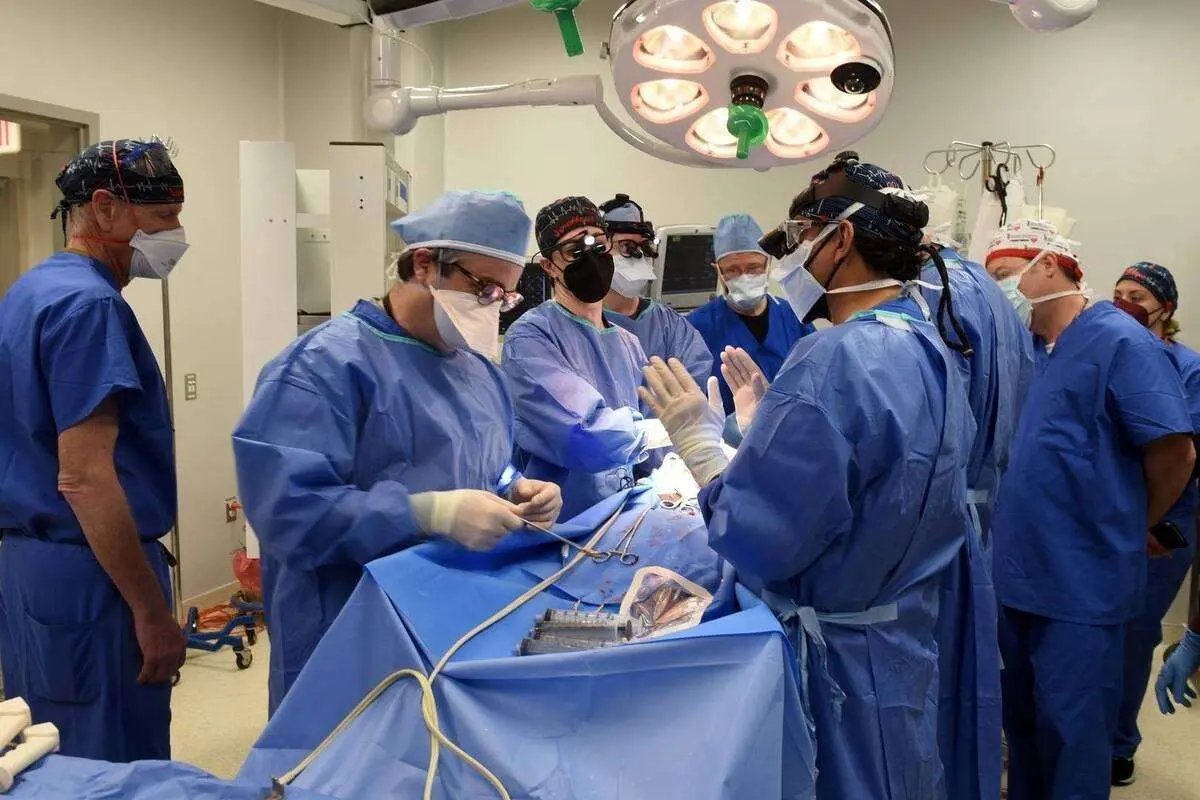 پیوند عجیب عضو خوک به انسان