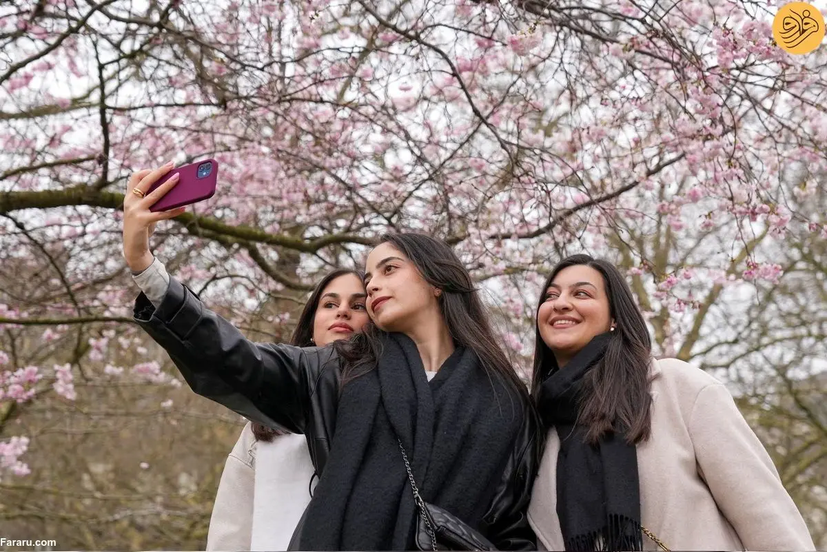 (تصاویر) بهار در سراسر جهان در حال شکوفایی است