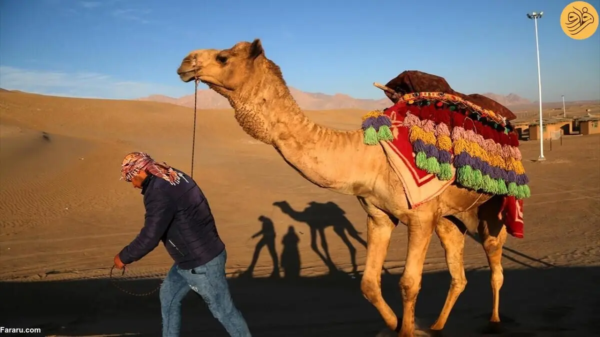 (تصاویر) تجربه‌ای متفاوت از سافاری در دل کویر یزد