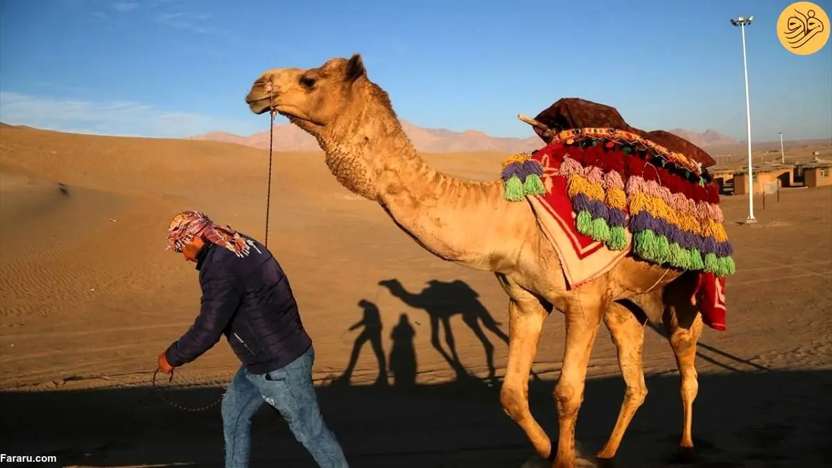 (تصاویر) تجربه‌ای متفاوت از سافاری در دل کویر یزد