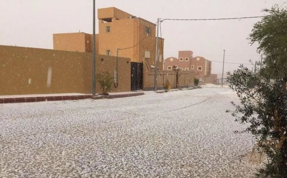 (ویدئو) دو شتر در زیر بارش تگرگ شدید