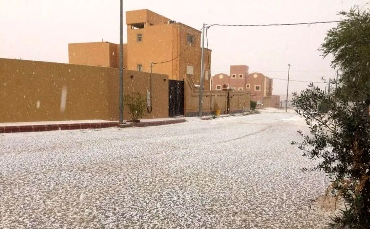 (ویدئو) دو شتر در زیر بارش تگرگ شدید