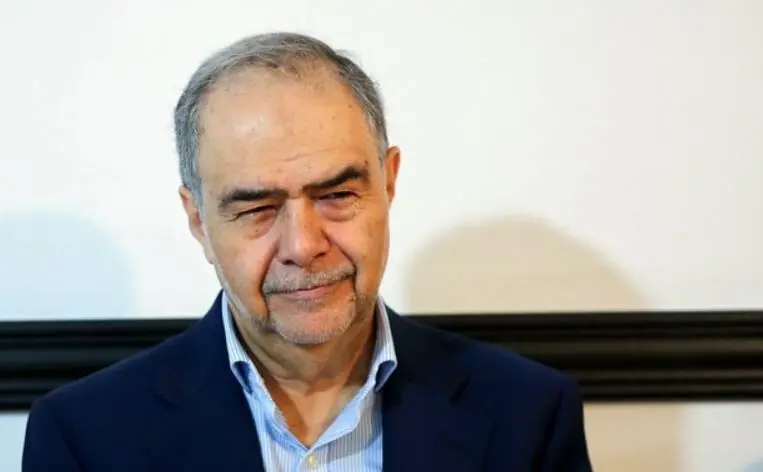 محسن امین‌زاده آزاد شد

