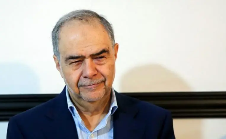 محسن امین‌زاده آزاد شد

