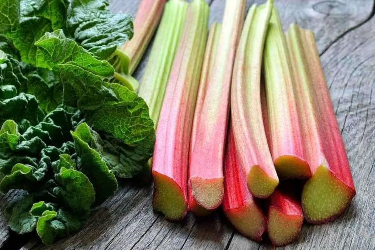 سبزی محبوب بهار برای کنترل قند خون